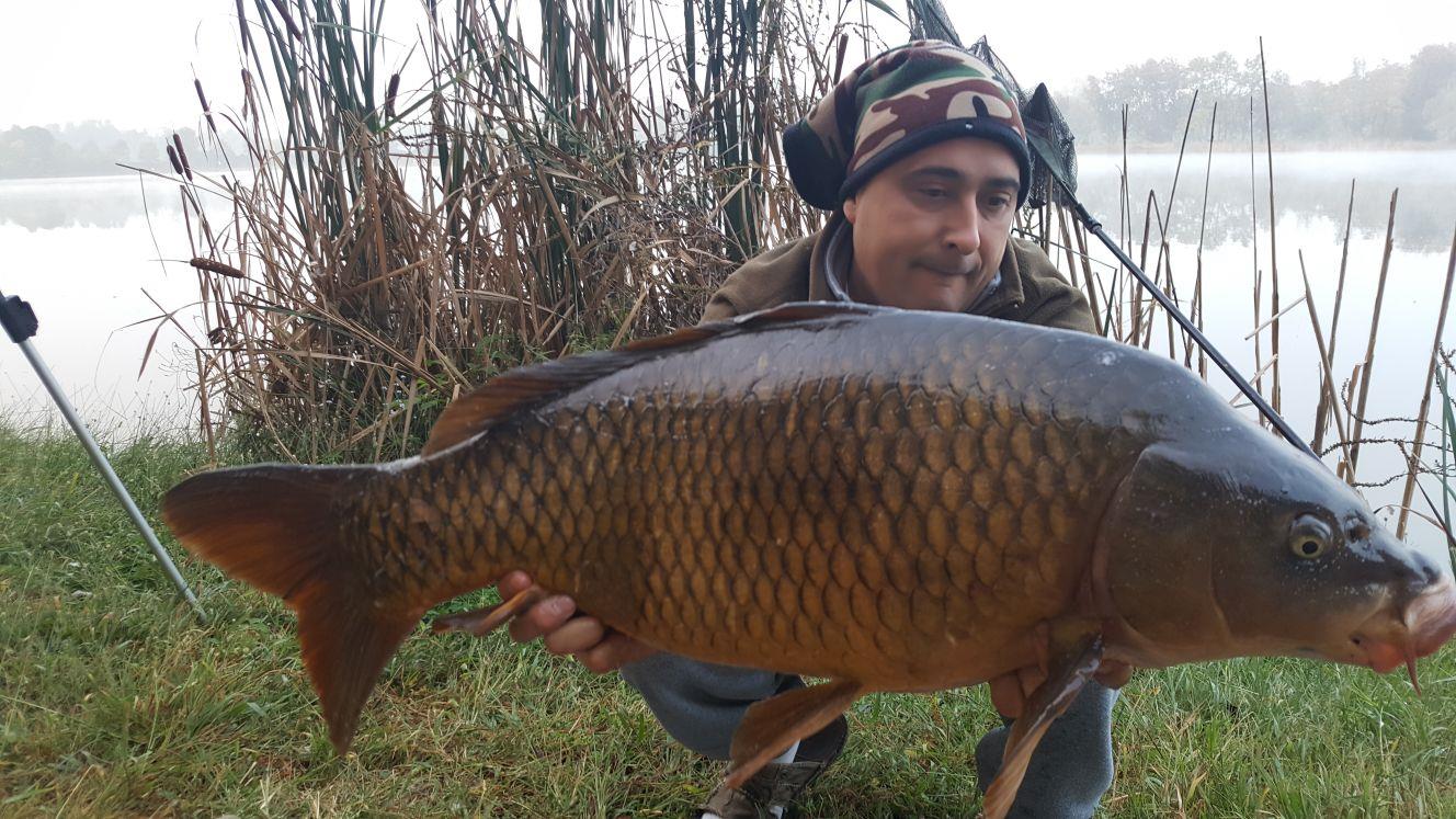 ISOLA DEL PESCATORE 4 - 5 oct. - img-20171007-wa0017.jpg